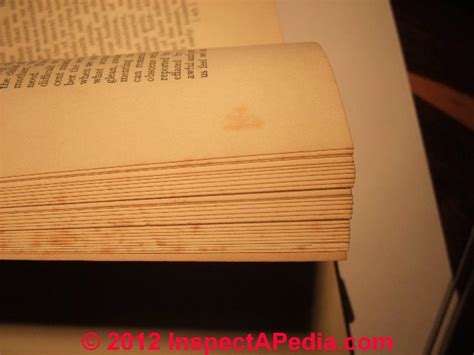 what is foxing on books: exploring the mystery of book discoloration